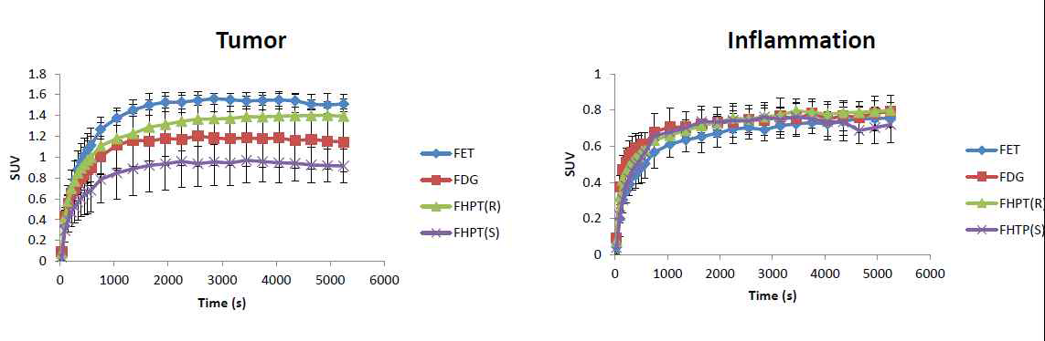 종양 및 염증 부위의 SUV 비교