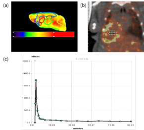 (a) 공간표준화 시킨 후의 PET 영상 (b) PET-CT fusion영상에서 left ventricle (c) 입력함수로 사용되는 left ventricle 에서의 시간대 방사능 곡선