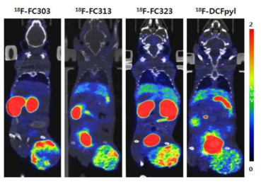 PSMA(+)종양 모델 마우스에서 PET/CT 영상 비교