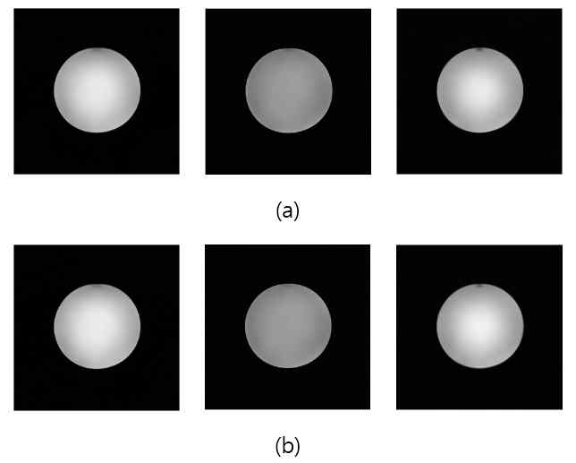 PET detector를 사용하지 않은 MR sequence별 팬텀 이미지 (spin echo (좌), turbo spin echo (중간), gradient echo (우)) MR 팬텀 이미지 (a), PET detector를 사용 한 MR sequence별 팬텀 이미지 (spin echo (좌), turbo spin echo (중간), gradient echo (우))(b)