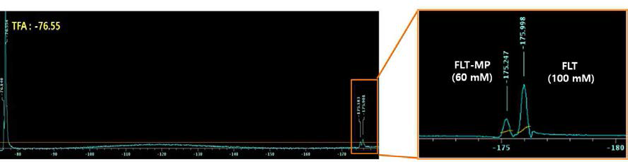 19F-MRS 를 이용한 FLT (-175.9 ppm) 와 FLT-MP (-175.2 ppm) 의 위치 확인