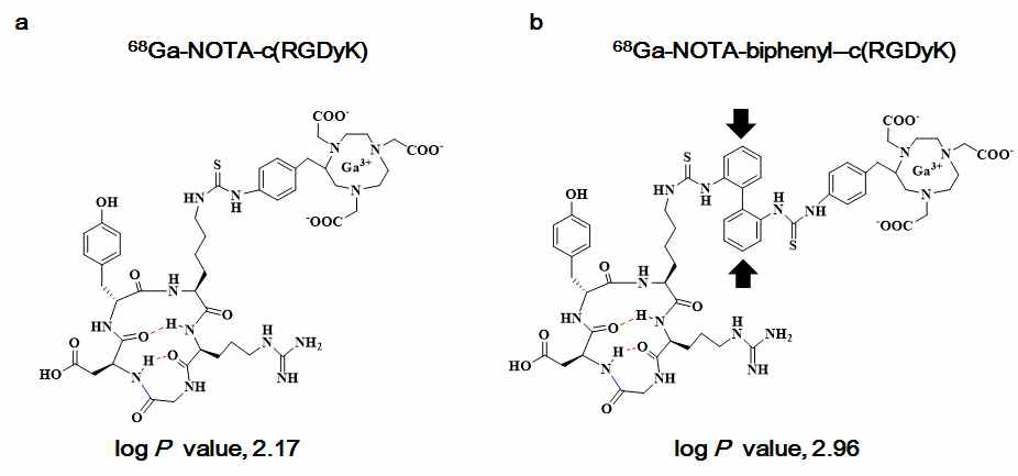 68Ga-NOTA-c(RGDyK) (좌), 68Ga-NOTA-2P-c(RGDyK)(우) 구조식