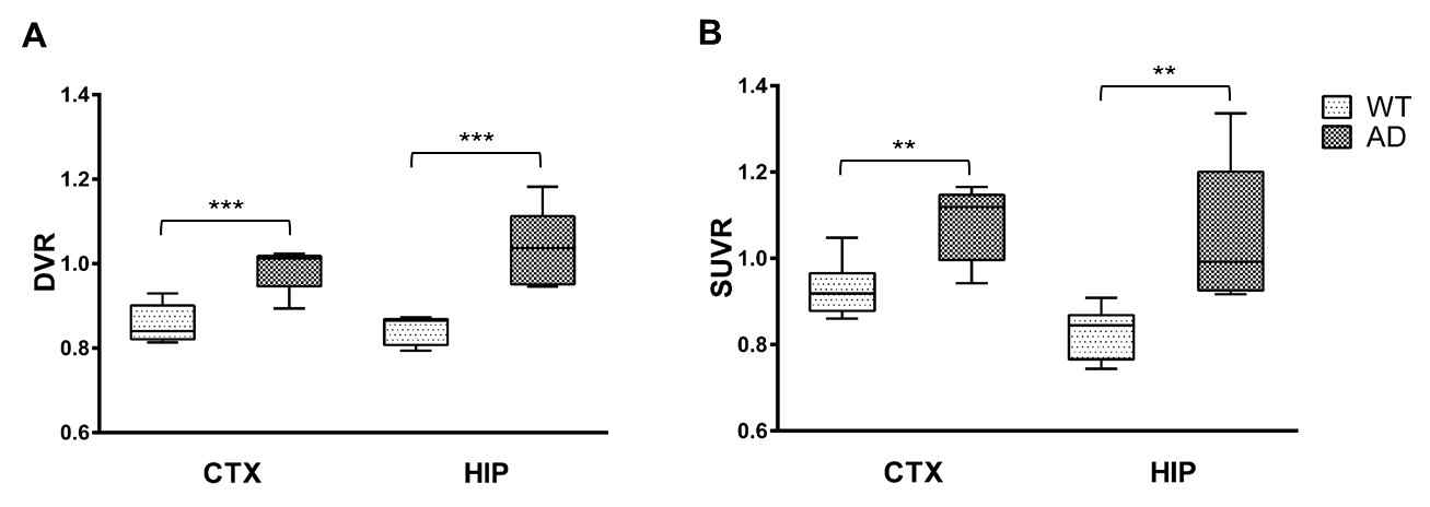 대뇌 피질 및 해마 영역 내 DVR (A) 및 SUVR (B) 결과. 두 영역 모두에서 AD 마우스가 WT과 비교해 유의하게 높은 정량적 수치를 보임