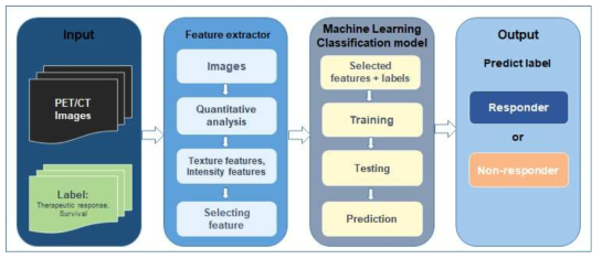 PET/CT 영상으로부터 얻은 feature와 치료반응 label을 입력으로 사용해 예측하는 기계학습 모델 설계