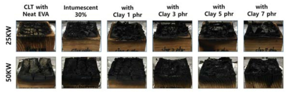 Images of post- pyrolysis surfaces