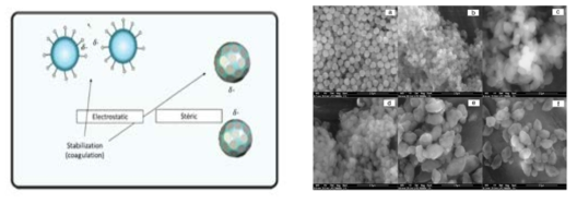 Clay-stabilized Emulsion Polymerization 의 모식도(좌) PSt/PMMA Latex-Clay Particle의 SEM 사진(e,f) (우) (R. Ianchis, Applied Clay Science, 2009)