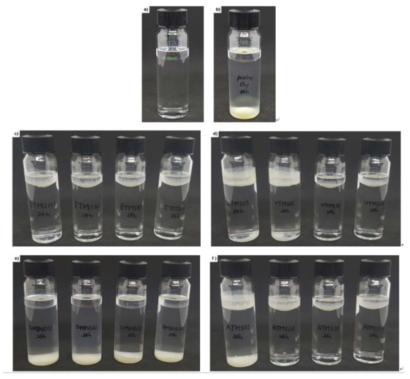 Pictures of vials containing the mixture for styrene/water partition tests; a) a mixtu re of styrene and water at equilibrium after stored for 24 hours, b) C.Pristine, c) C.ETMS d) C.VTMS, e) C.DMEVS, f) C.ATMS with a different silane concentrations (1, 2, 5, and 10 mmol/gclay) after 24 hours of gentle shaking