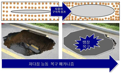 저다짐 능동 복구 기술 개념도