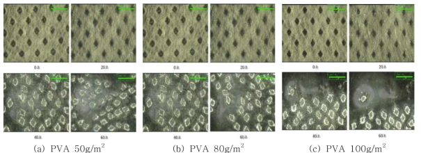 PVA 부직포 수용성 평가