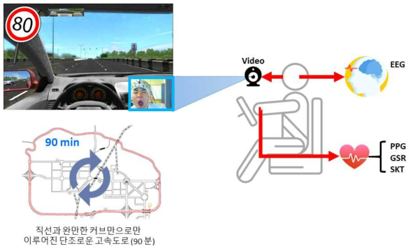 운전 피로도를 표상하는 생리신호를 측정하기 위한 실험 프로토콜. (그림 좌측) 운전자는 일정한 속도(80km/h)를 유지한 채 직선과 완만한 곡선으로만 이루어진 단조로운 고속도로를 90분 동안 연속 운전함. (그림 우측) 운전 중 64채널 뇌파, 자율신경계 신호, 운전자 얼굴 영상을 기록함.
