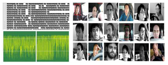 연구목적으로 공개된 심장활동 데이터와 운전자 얼굴 이미지 샘플