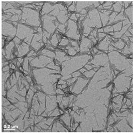 BGB UltraTM Cellulose Nanocrystals Suspension Technical Grade and TEM picture