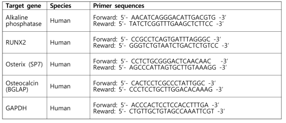 인간 골세포화 관련 유전자 primer sequences