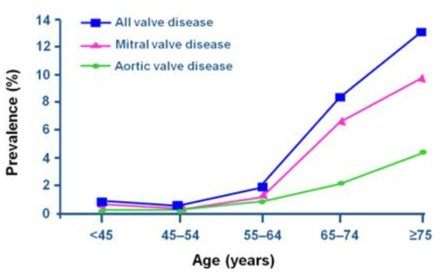 노령화에 의한 퇴행성 판막 질환의 증가 노령화 사회의 진입으로 퇴행성 판막질환이 급증하고 있음. 미국의 경우 65세 환자에서 CAVD 발생 빈도가 3% 이상, 최대 7%까지 예상하고 있음