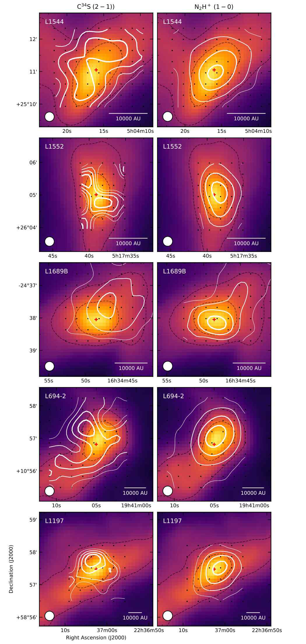 C34S (좌) 와 N2H+(우) 분자선의 적분세기 분포 지도. 배경은 Herschel 위성 망원경의 250 μm 성간티끌 연속선 지도