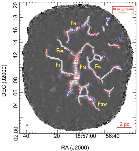 JCMT/POL-2 850um 연속파 이미지. 자기장 방향이 빨간색과 파란색 막대로 표시됐는데 각각 S/N > 3, 2 < SN < 3 조건을 의미한다. 동정된 필라멘트들이 회색 굵은 실선으로 표시되어 있다