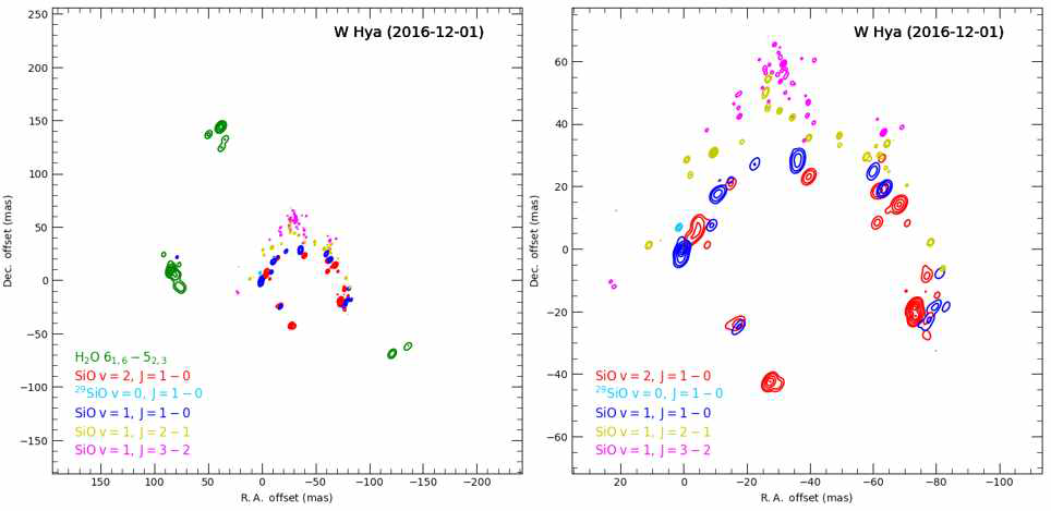 W Hya 주변의 22 GHz H2O 메이저(녹색), 42(적색)/43(청색)/86(갈색)/129(분홍색) GHz SiO 메이저의 상대적인 공간분포