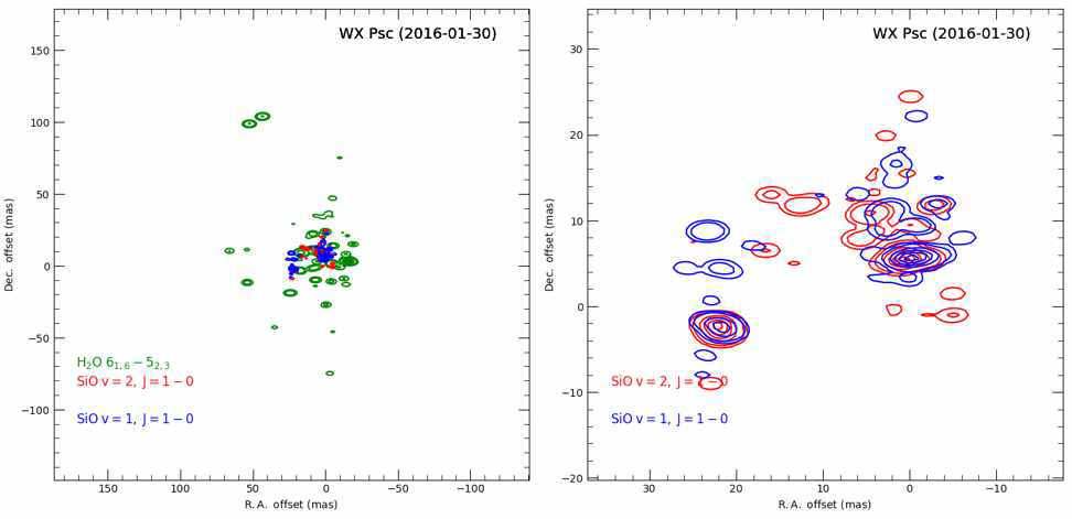 WX Psc 주변의 22 GHz H2O 메이저(녹색), 42(적색)/43(청색) GHz SiO 메이저의 상대적인 공간분포