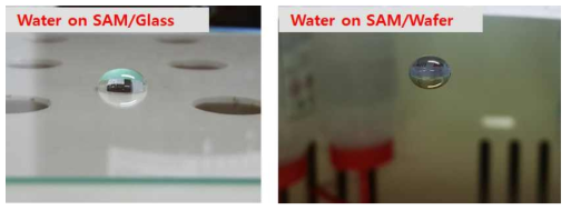 SAM 처리 된 유리기판과 웨이퍼상에 토출된 물방울 실사 사진