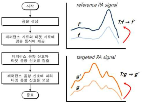 새로운 광음향 기반 동시 보정 방법 f, f’ signal fluctuation over time from reference T transformation operator for calibration g, g’ signal fluctuation of target