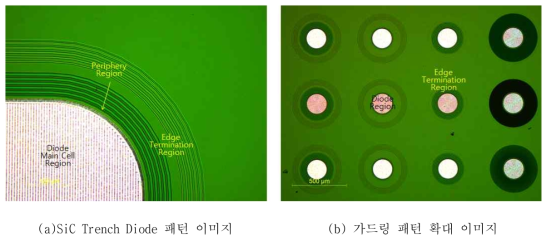 제작 된 Trench 다이오드 및 가드링 패턴의 Microscope 이미지