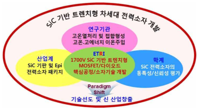 연구개발 추진체계도