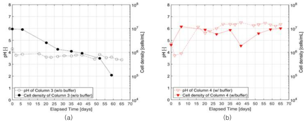 (a) Column 3과 (b) Column 4에서의 시간에 따른 pH와 Cell density의 변화