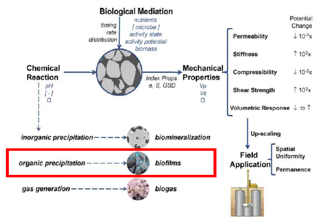 생물학적 지반개량방법(DeJong et al. 2010)