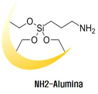 APTES 처리된 Alumina 다공체