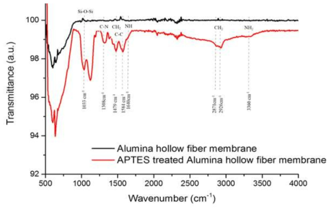 APTES 처리된 Alumina 다공체의 FT-IR 분석