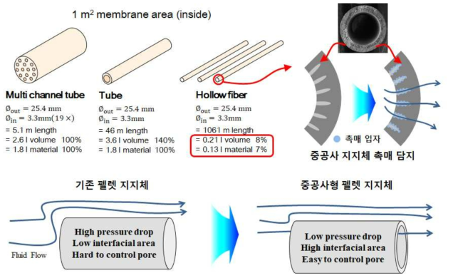 기공구조 제어형 중공사 지지체의 특성