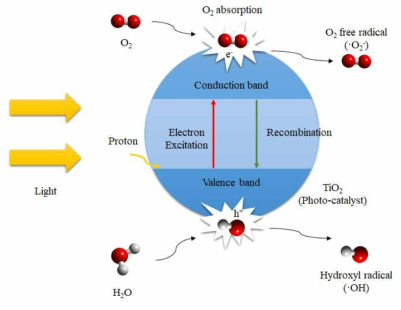 TiO2 광촉매 메커니즘