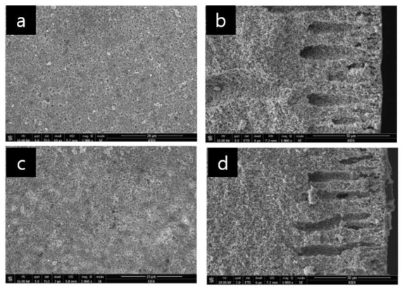 Si계 바인더를 이용하지 않고 코팅한 TiO2 코팅 중공사의 (a)표면, (b) 단면 Si계 바인더를 이용하여 코팅한 TiO2 코팅 중공사의 (c)표면, (d) 단면 SEM 결과