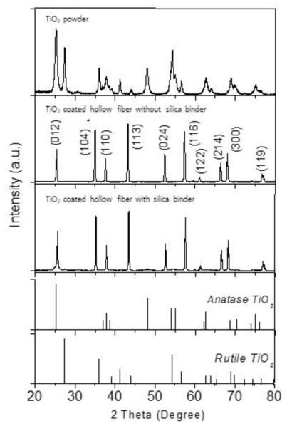 제조한 TiO2 분말 및 TiO2 코팅 중공사의 XRD 분석 결과