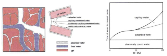 콘크리트 미세공극 조직내의 수분 분포상태