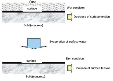 표면수 증발에 따른 표면장력 증가 개념도