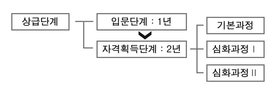 김나지움 상급 단계 구성