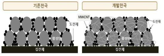 개발전극 모델