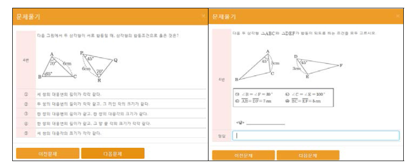 온라인 시행 문제풀기 화면: 선다형 문항(좌)와 서답형 문항(우)