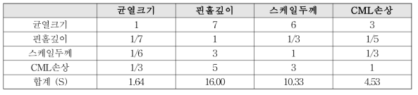 쌍대비교행렬과 행렬 S