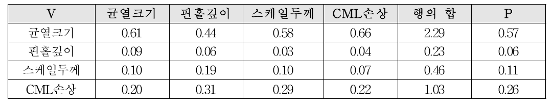 정규화된 행렬 V와 가중치 P