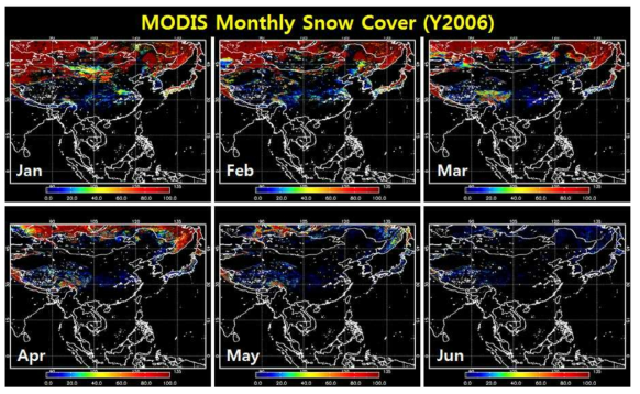 MODIS monthly snow cover during the period from January to June in 2006