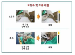 전국 야생동물구조·관리센터로 보내진 야생동물의 혈청시료채취 매뉴얼