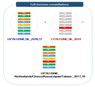 Genetic recombination diagram of H5N6(HPAI virus) detected from wild birds, Korea, 2018