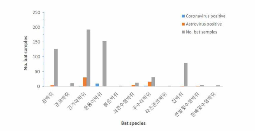 Positive cases of Coronavirus and Astrovirus infection in 11 studied bat species
