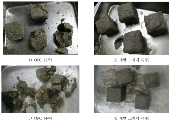 5% H2SO4 수용액 침지 결과