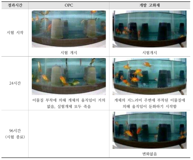 어류 급성 독성 시험 간이시험 결과