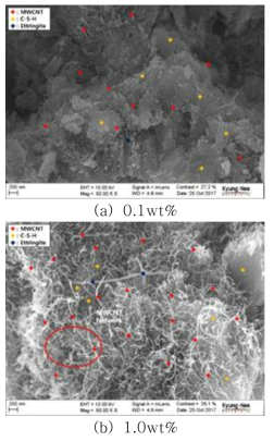 수용액 상태의 MWCNT를 혼합한 나노콘크리트의 SEM 이미지