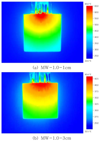 MW-1.0 실험체의 전극간격 별 열화상 이미지