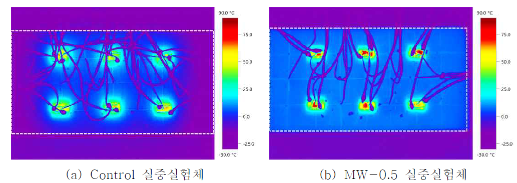 실증실험체의 열화상 이미지